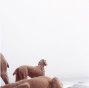William Wegman. „Ocean View”. 2002