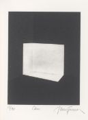 James Turrell. „Carn (für Parkett)”. 1990