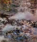 Michael Wesely. „Giverny (7.7.-31.10.2016)”.