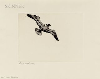 Frank Weston Benson (American, 1862-1951) Soaring Fish Hawk