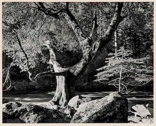 Ansel Adams (American, 1902-1984) Morning, Merced River Canyon
