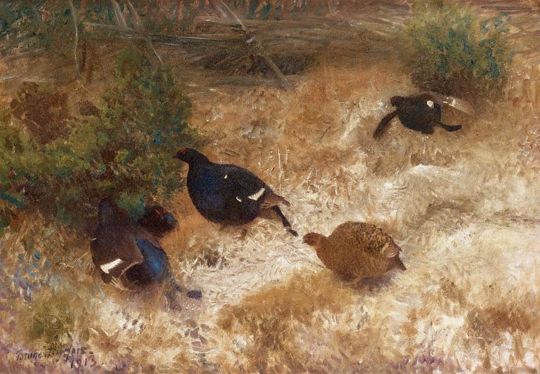 Bruno Liljefors, Black grouse.